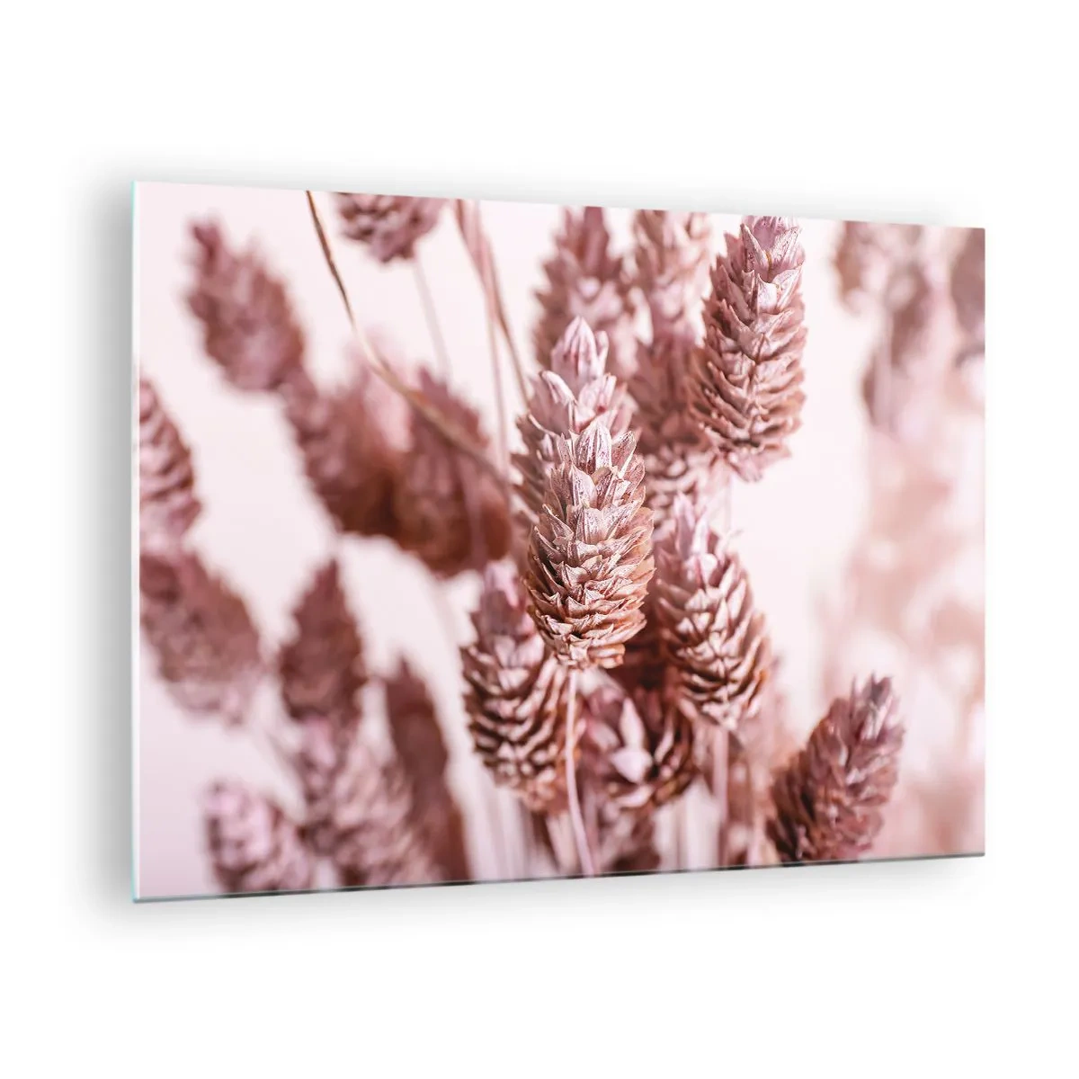 Tablou pe sticlă - Urechi de iarbă uscată în nuanțe de roz pudră - 70x50cm - Aparent discrete - Decorațiune modernă pentru perete pentru living și dormitor ARTTOR
