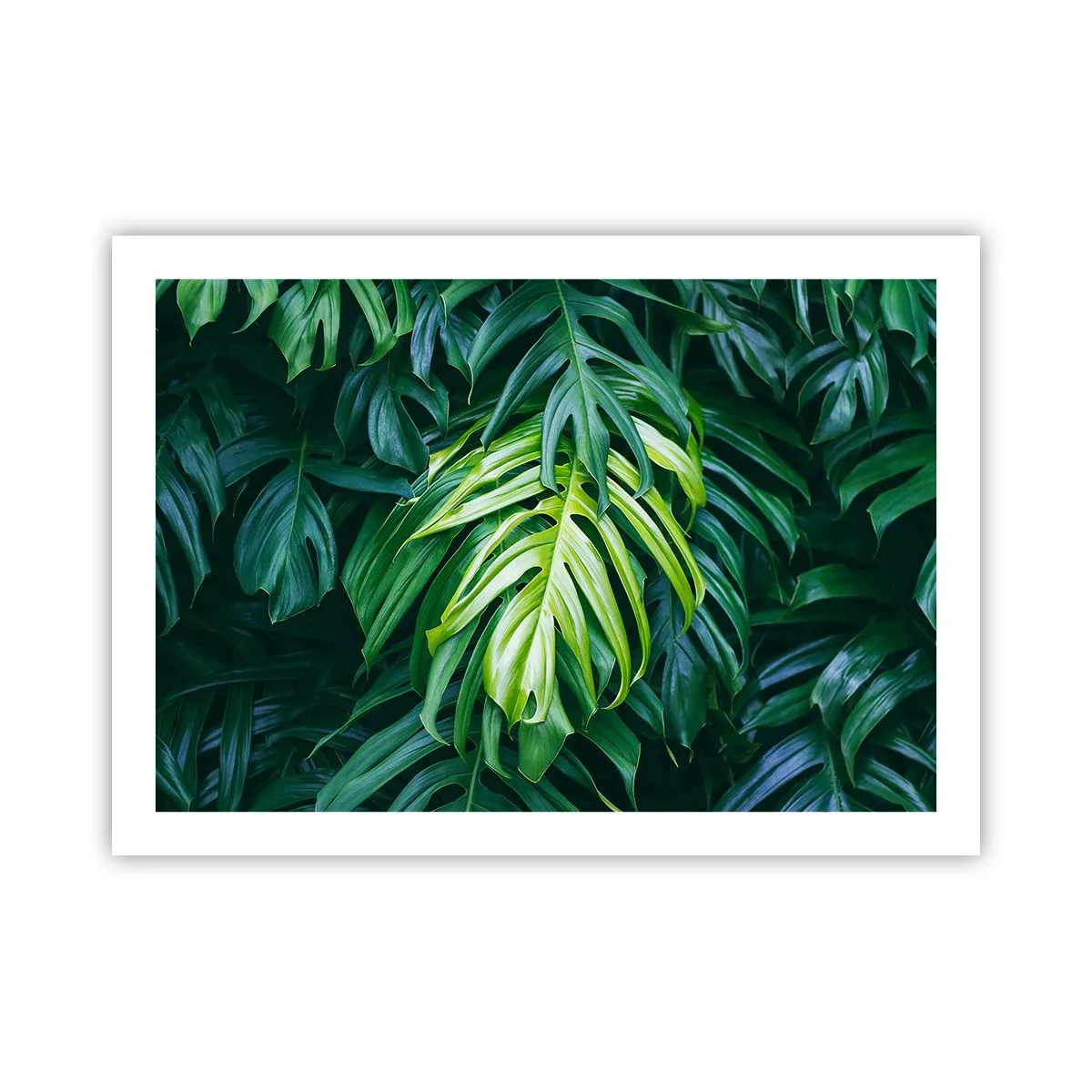 Poster - Scufundă-te în prospețime - 70x50 cm