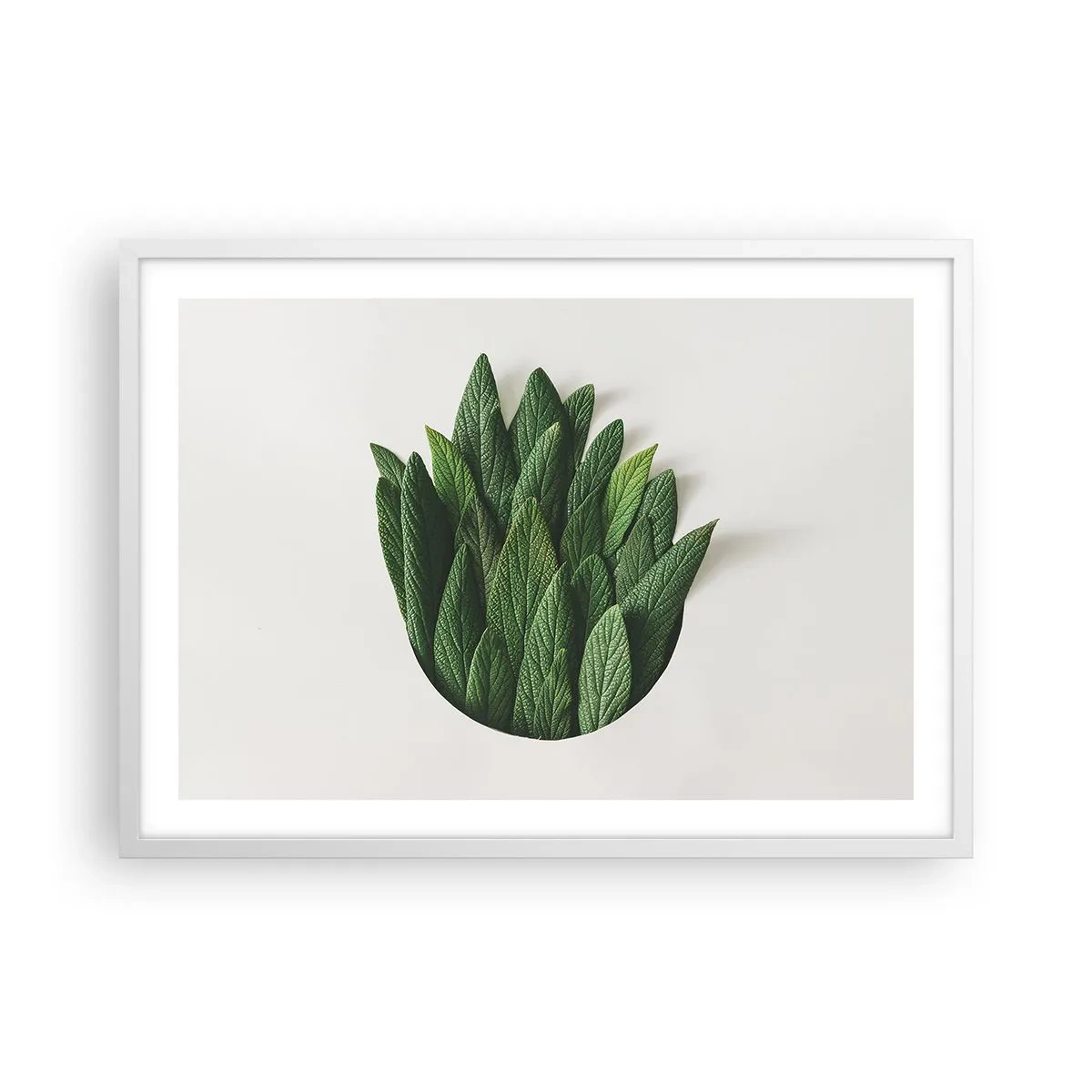 Poster în ramă albă - Curiozitatea nestăvilită - 70x50 cm