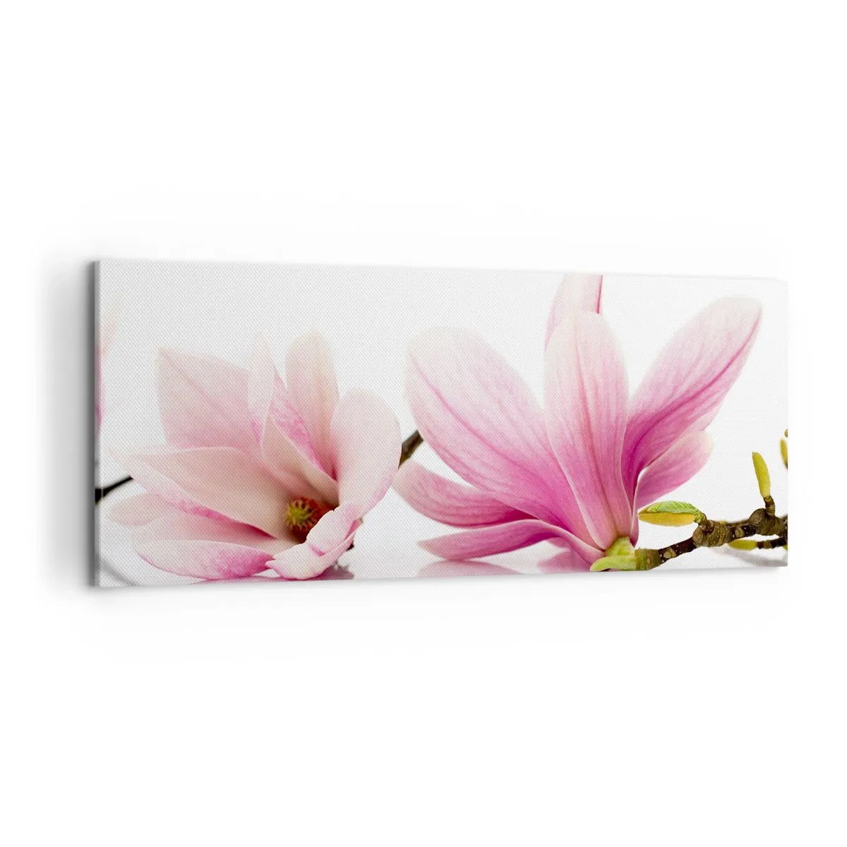 Tablou pe pânză - Delicate ca o adiere de primăvară - 100x40 cm