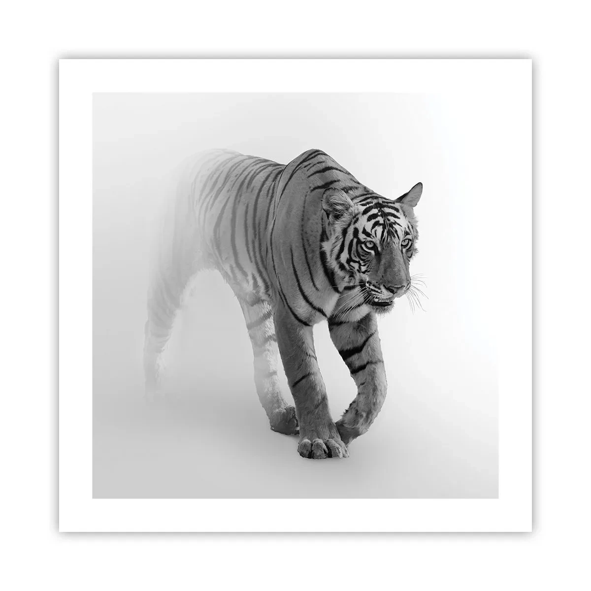 Poster - De veghe în ceață - 50x50 cm