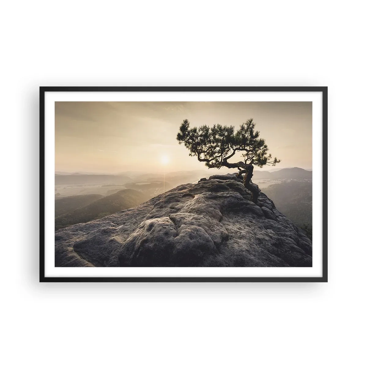 Poster în ramă neagră - Viața învinge întotdeauna - 91x61 cm
