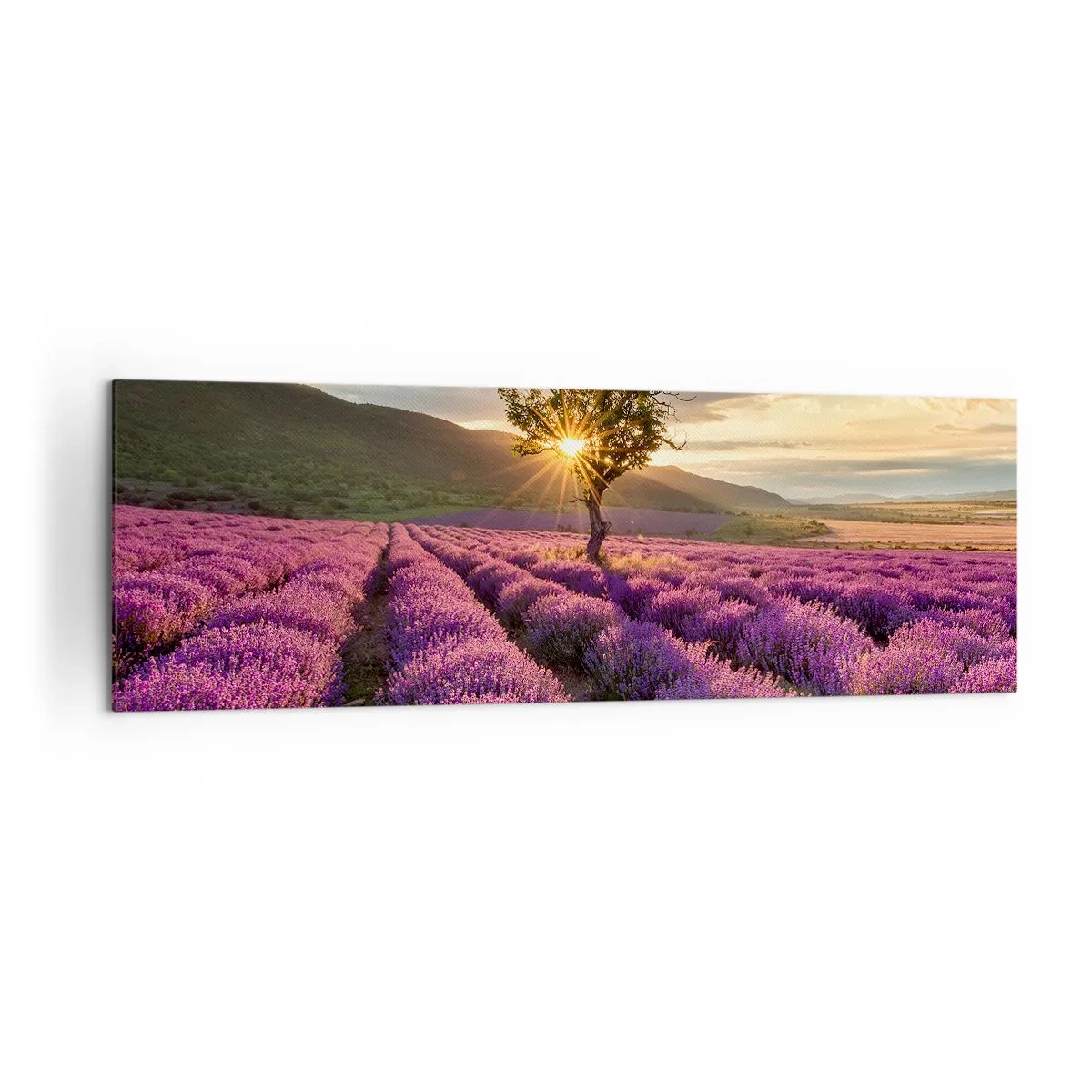 Tablou pe pânză - Aroma în liliac - 160x50 cm