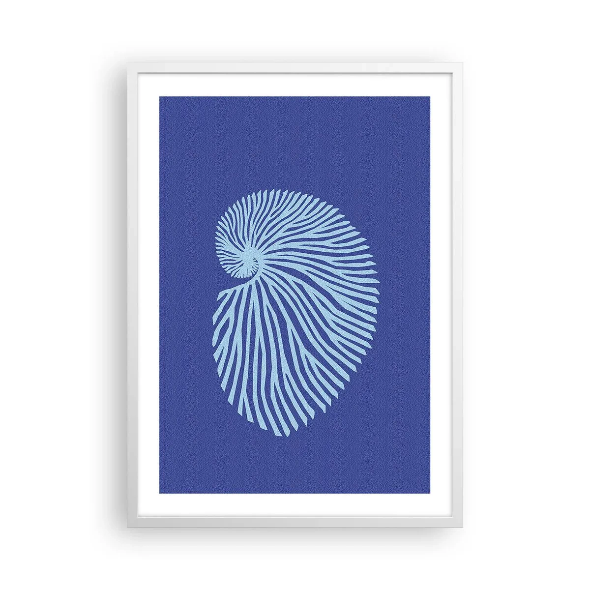 Poster în ramă albă - Nașterea cochiliei - 50x70 cm