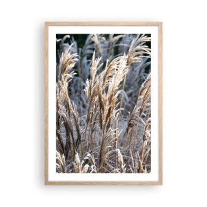 Poster în ramă de stejar deschis - Împodobite cu brumă - 50x70 cm