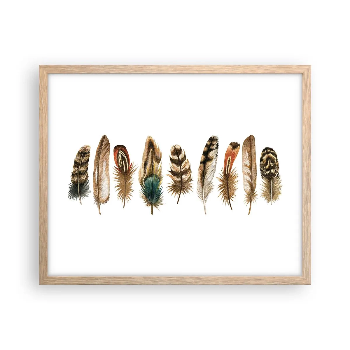 Poster în ramă de stejar deschis - Variație cu pene - 50x40 cm