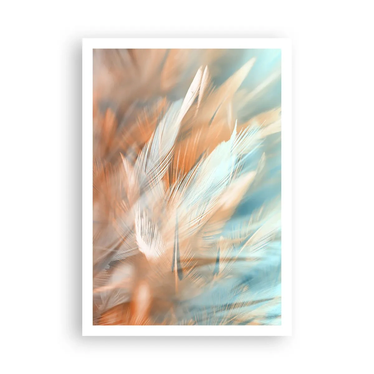 Poster - În țara blândeții - 70x100 cm