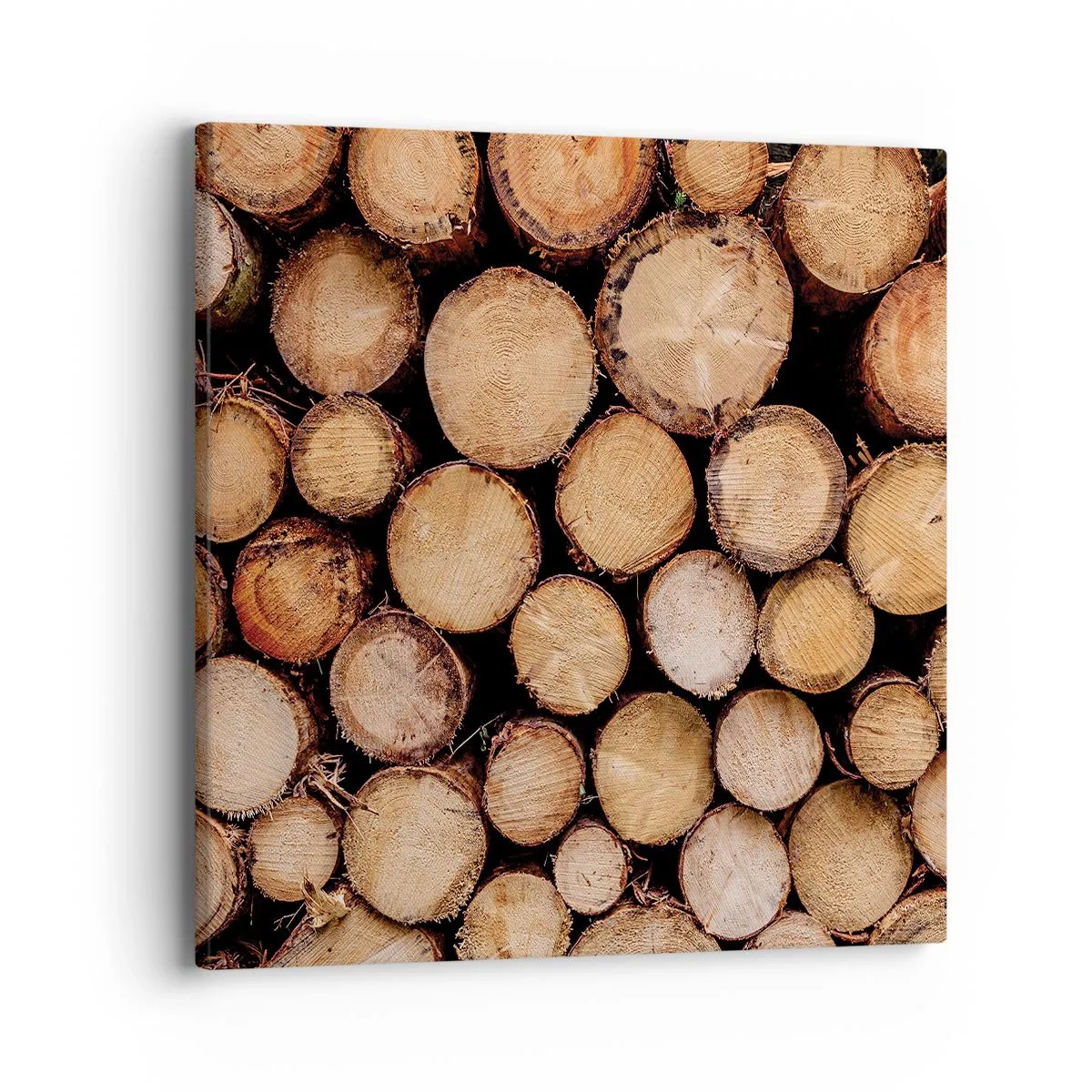 Tablou pe pânză - Un nou început - 40x40 cm