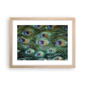 Poster în ramă de stejar deschis - O privire cu ochi de păun - 40x30 cm