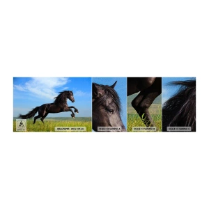 Mostră tapet Premium Sand - Un manifest entuziast pentru libertate - Animale, Cal, Peisaj - 100x30 cm