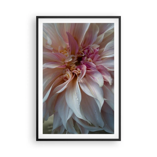 Poster în ramă neagră - Prospețime înfloritoare - 61x91 cm