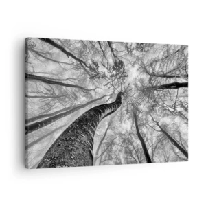 Tablou pe pânză Canvas - Perspectiva copacilor dintr-o pădure văzuți de jos în nuanțe de gri - 70x50cm - Cursa spre lumină - Decorațiune modernă pentru perete pentru living și dormitor ARTTOR