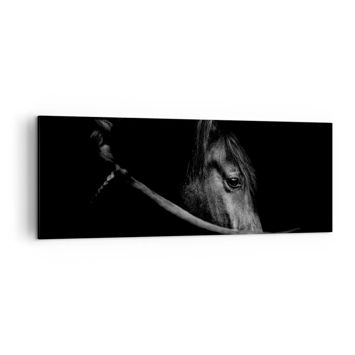 Tablou pe pânză - Prințul negru - 140x50 cm