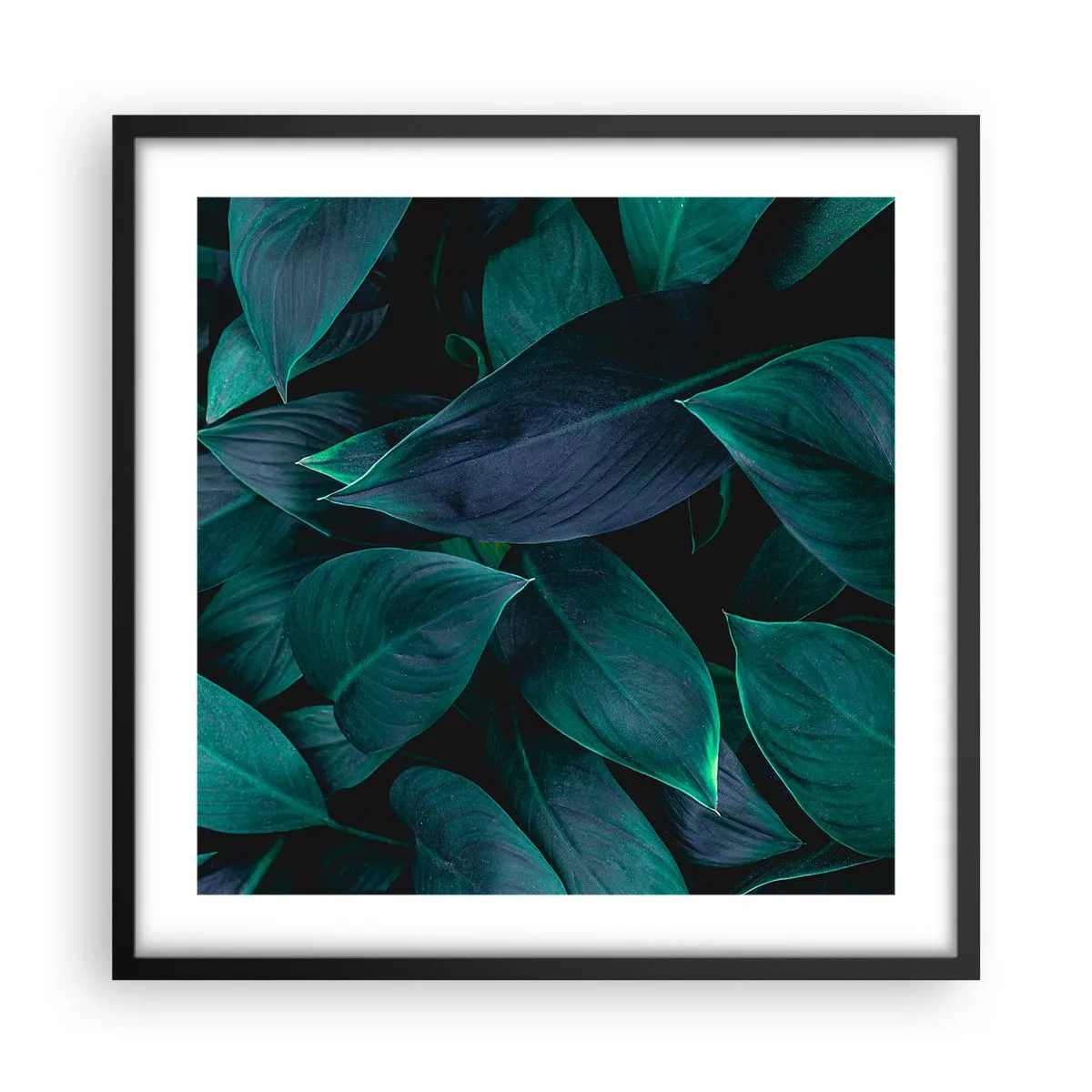 Poster în ramă neagră - Verdeața în sine - 50x50 cm