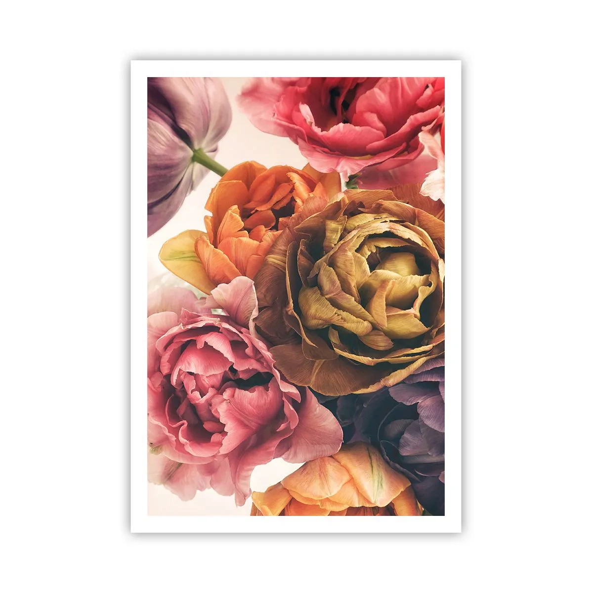 Poster - Sărbătorirea vieții - 70x100 cm