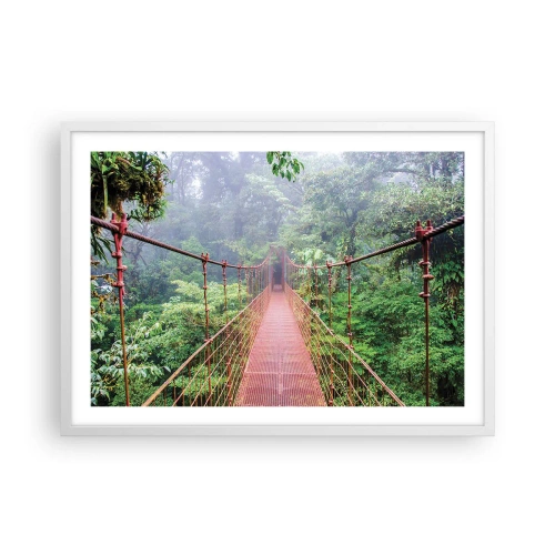 Poster în ramă albă - Suspendat deasupra coroanelor arborilor - 70x50 cm