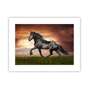 Poster - Prințul negru - 40x30 cm