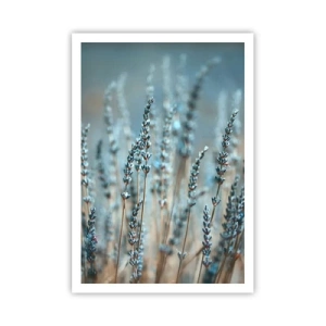 Poster - Câmpul parfumat - 70x100 cm