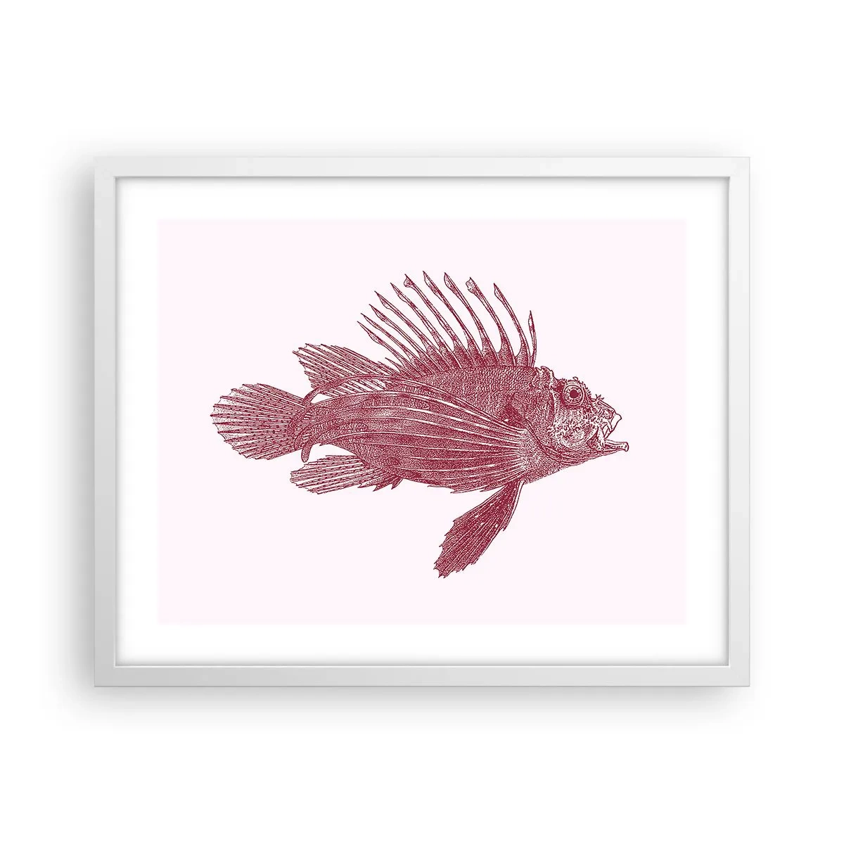 Poster în ramă albă - Un locuitor al apelor exotice - 50x40 cm