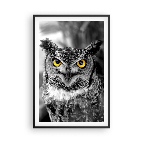 Poster în ramă neagră - Nimic nu poate fi ascuns - 61x91 cm