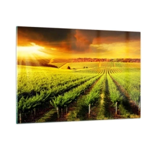 Tablou pe sticlă - Sub soarele australian - 120x80 cm
