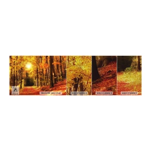 Mostră tapet Premium Sand - Toamna de aur pe un drum forestier - Toamnă, pădure, Peisaj - 100x30 cm
