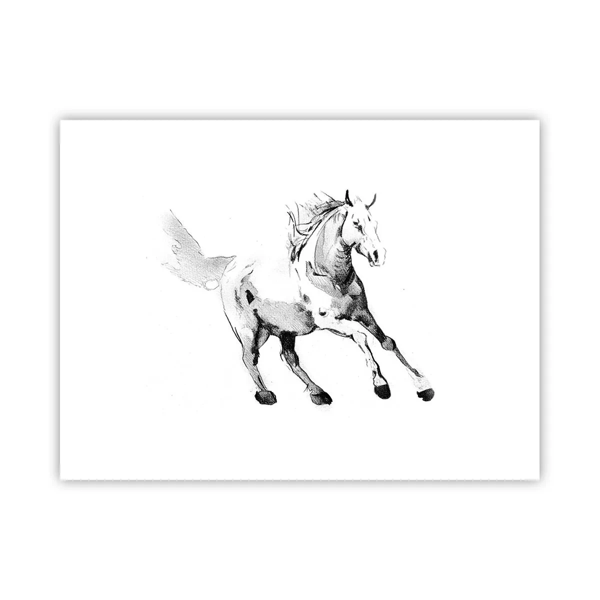 Poster - Suflet neîmblânzit - 40x30 cm