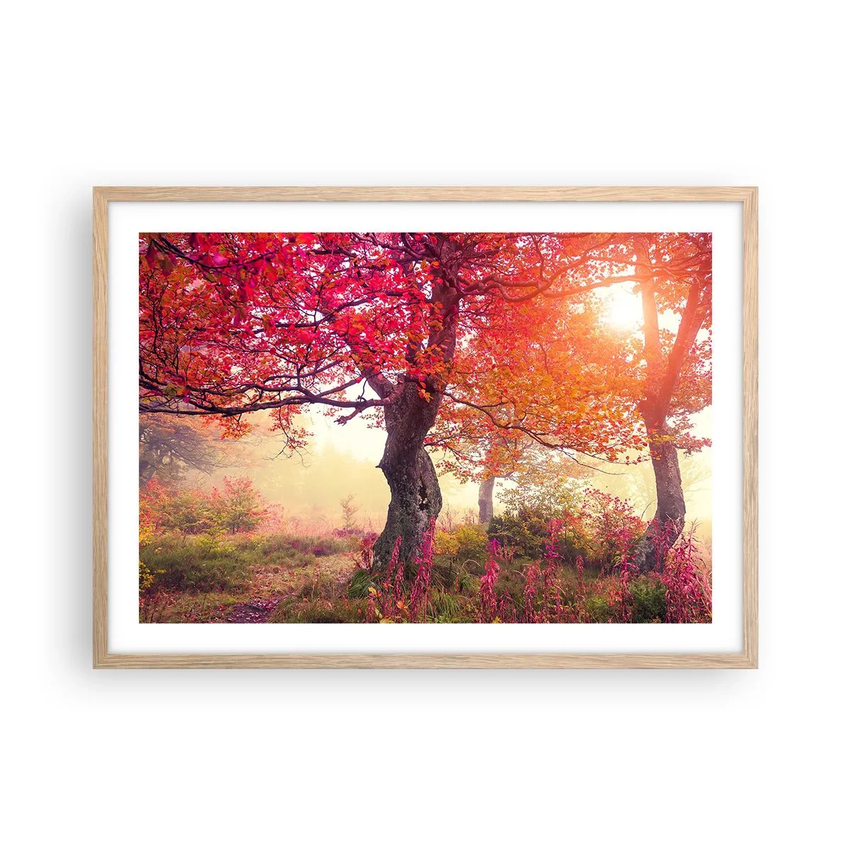 Poster în ramă de stejar deschis - O frenezie de înflorire - 70x50 cm