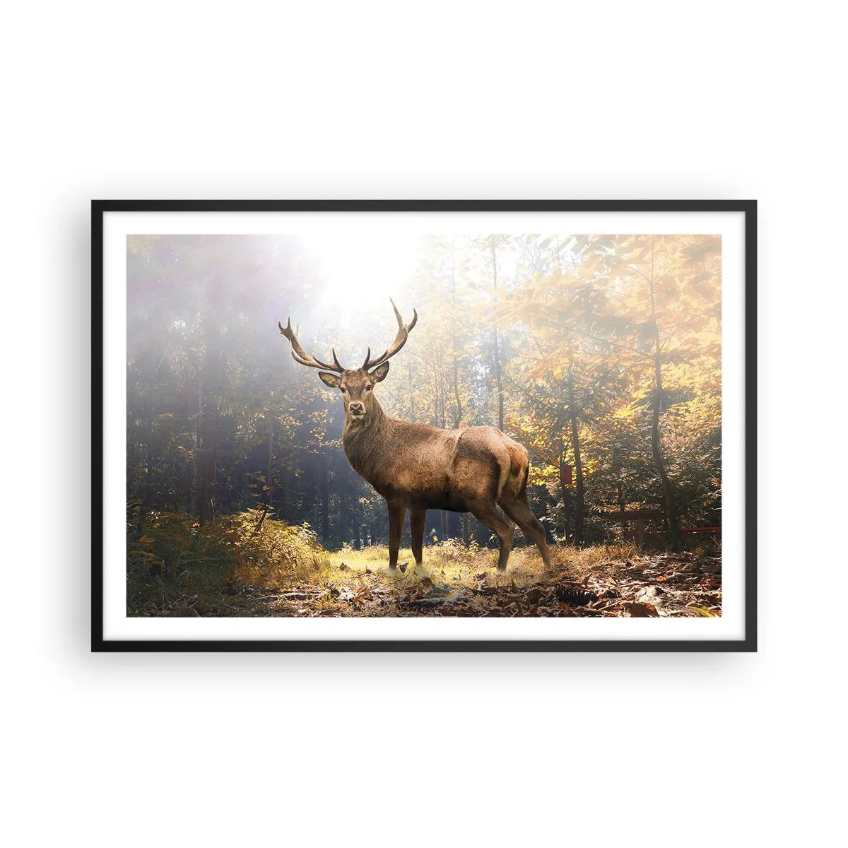 Poster în ramă neagră - Măreție calmă - 91x61 cm