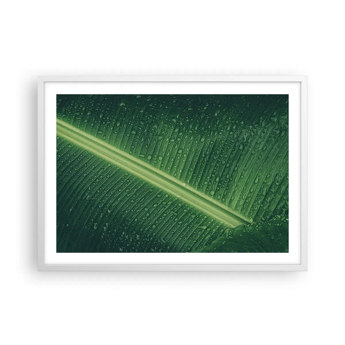 Poster în ramă albă - Structura verdelui - 70x50 cm