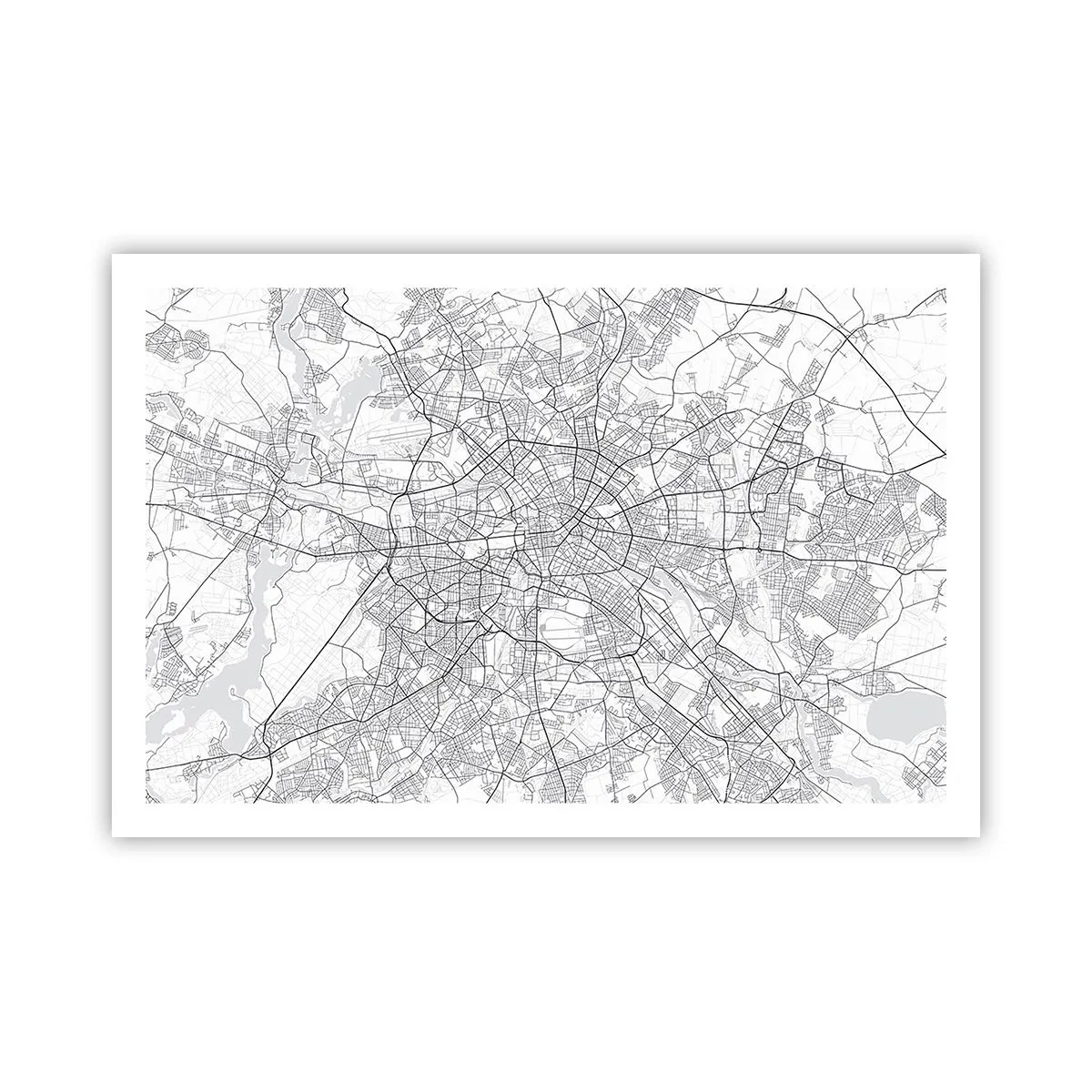 Poster - Floare de Berlin - 91x61 cm
