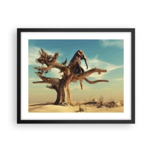 Poster în ramă neagră - Un nou punct de vedere - 50x40 cm