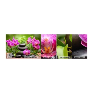 Mostră tapet autocolant Deluxe Sticker - Piramida de liniște - Flori, Orhidee, Orhidee - 100x30 cm