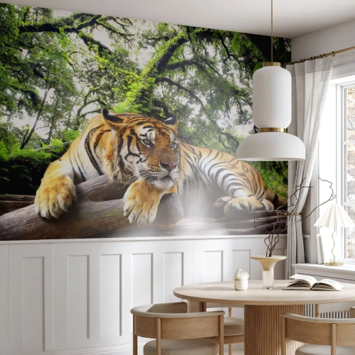 Tapet Premium Sand - Cu respect - Tigru, Animale, Prădător - 500x350 cm