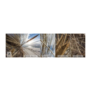 Mostră tapet Premium Sand - O întâlnire a elementelor - Peisaj, Mare, Dunele - 100x30 cm