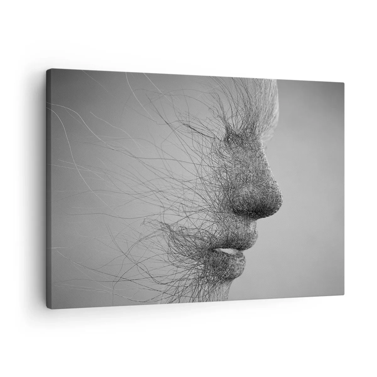 Tablou pe pânză Canvas - Profil facial artistic creat cu linii delicate - 70x50cm - Spiritul vântului - Decorațiune modernă pentru perete pentru living și dormitor ARTTOR