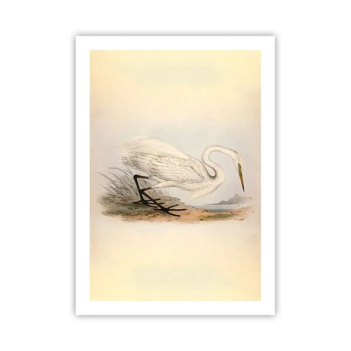 Poster - Doamna în stufărișuri - 50x70 cm