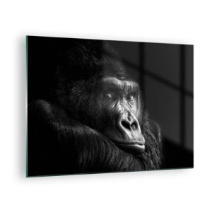 Tablou pe sticlă - Portret alb-negru al unei gorile la umbra unei ferestre - 70x50cm - Și la ce te uiți? - Decorațiune modernă pentru perete pentru living și dormitor ARTTOR