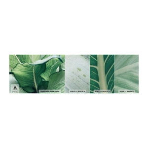 Mostră tapet Premium Canvas - Viață intensă în verde - Frunze, Exotic, Botanic - 100x30 cm