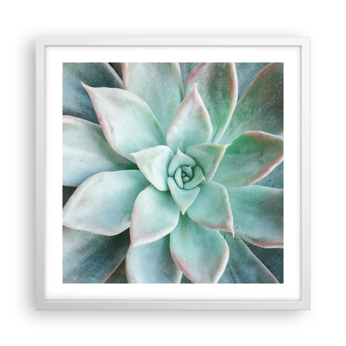 Poster în ramă albă - Inima deșertului - 50x50 cm