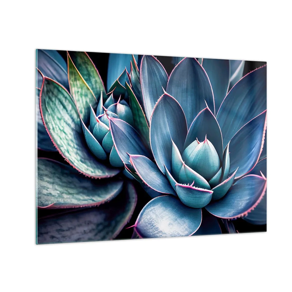 Tablou pe sticlă - Prim-plan al frunzelor verzi luxuriante ale suculentelor - 70x50cm - Forța vitală - Decorațiune modernă pentru perete pentru living și dormitor ARTTOR