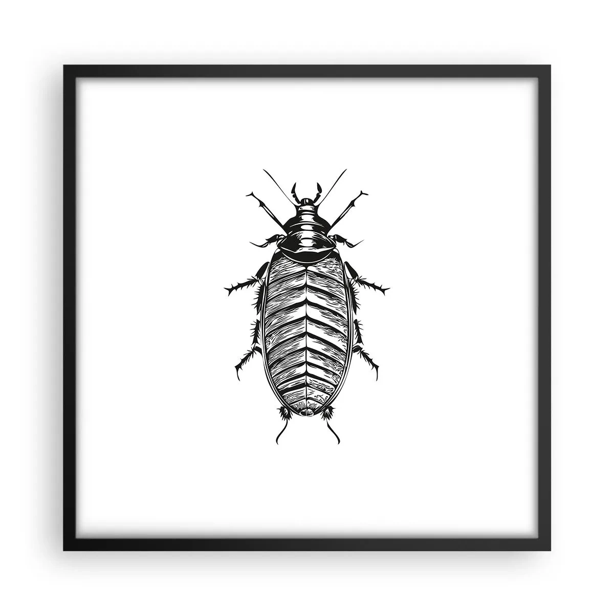 Poster în ramă neagră - Ce specimen! - 50x50 cm