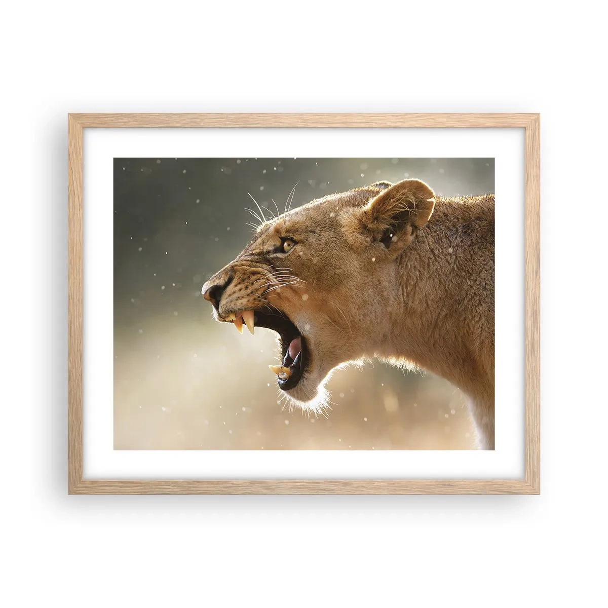 Poster în ramă de stejar deschis - Încearcă să nu asculți - 50x40 cm