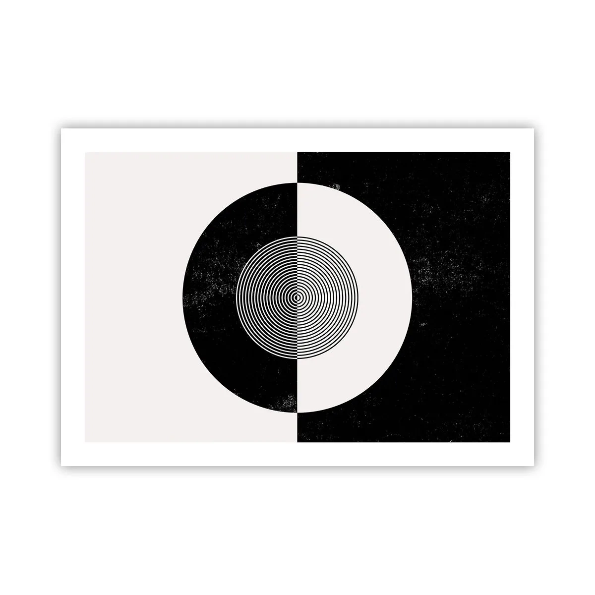 Poster - Armonie în alb și negru - 70x50 cm