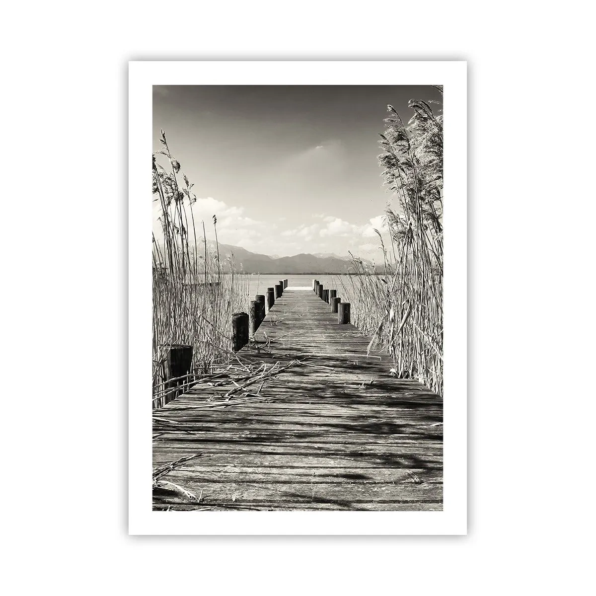 Poster - În intimitatea ierburilor - 50x70 cm