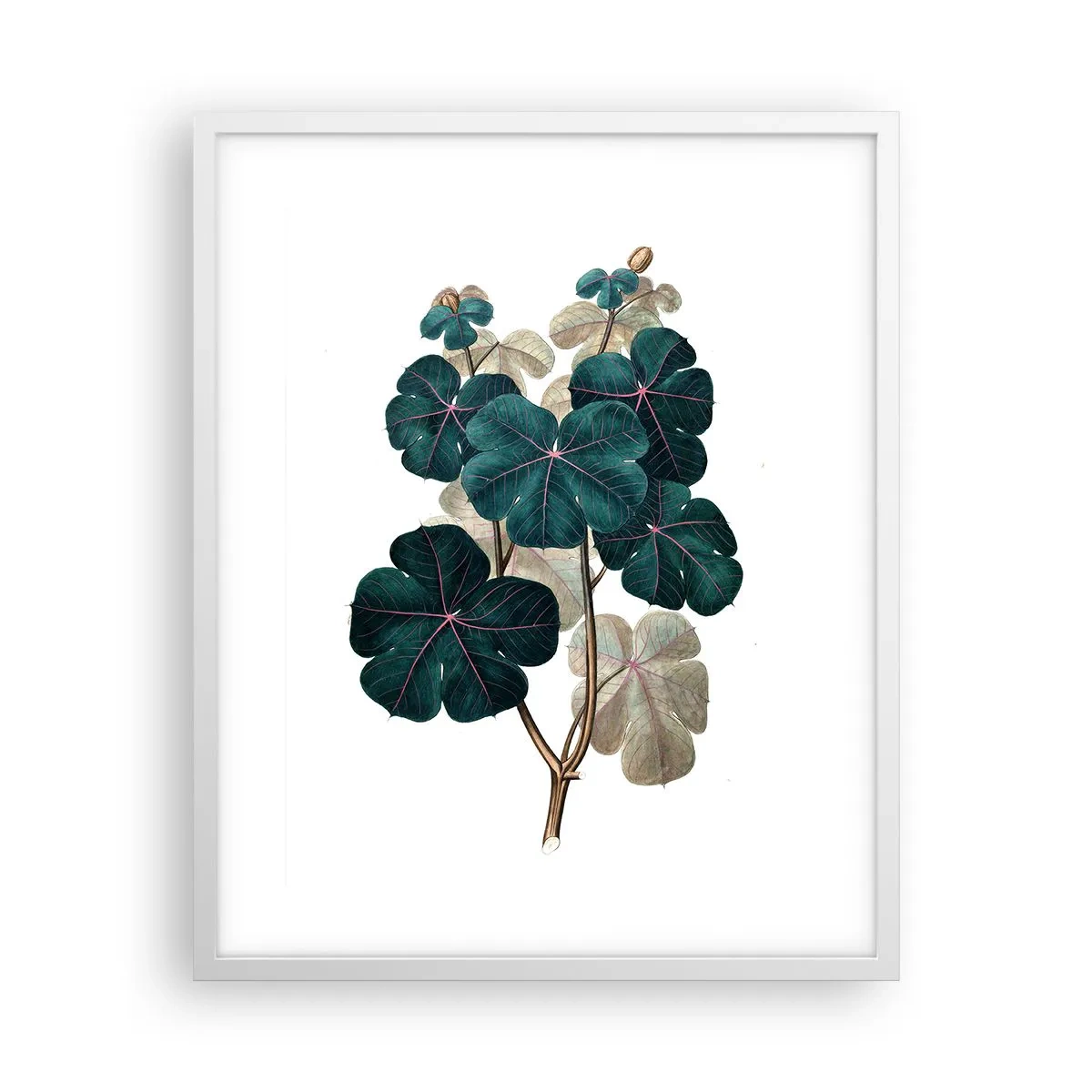 Poster în ramă albă - Dintr-un vechi ierbar - 40x50 cm