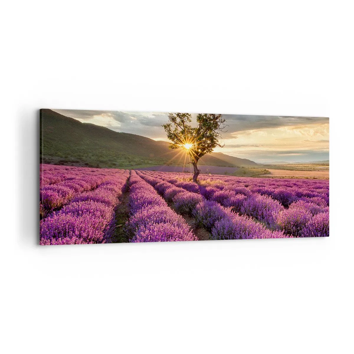 Tablou pe pânză - Aroma în liliac - 120x50 cm
