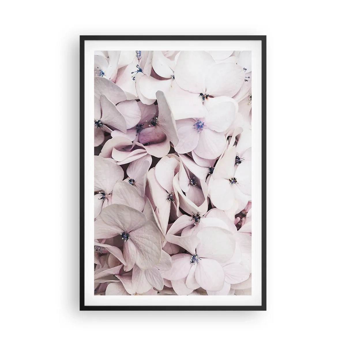 Poster în ramă neagră - Într-un potop de flori - 61x91 cm