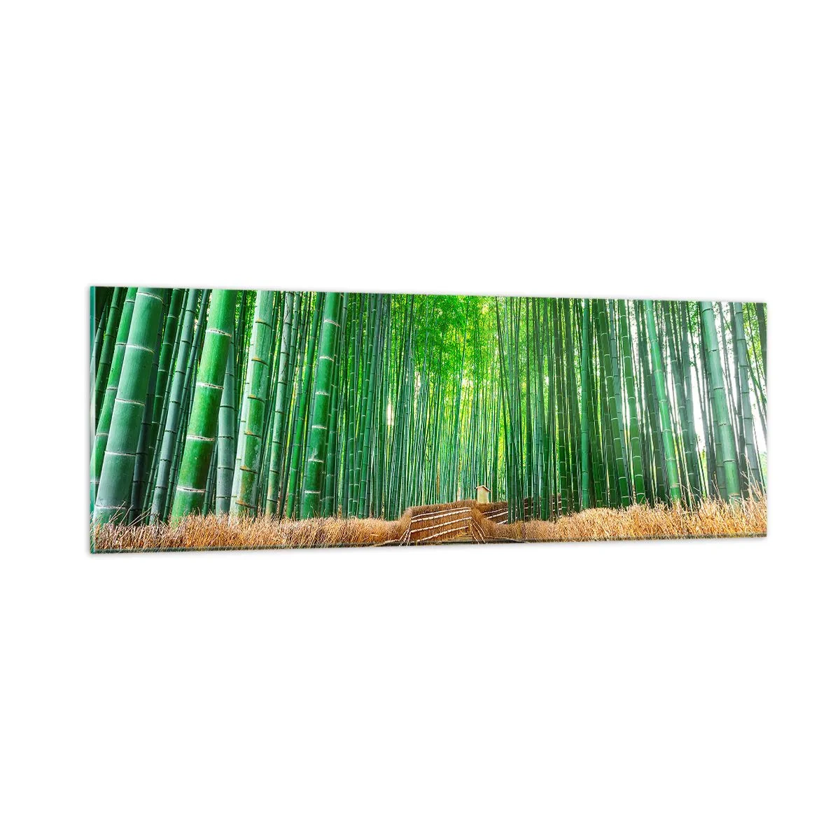 Tablou pe sticlă - Esența naturii asiatice - 90x30 cm