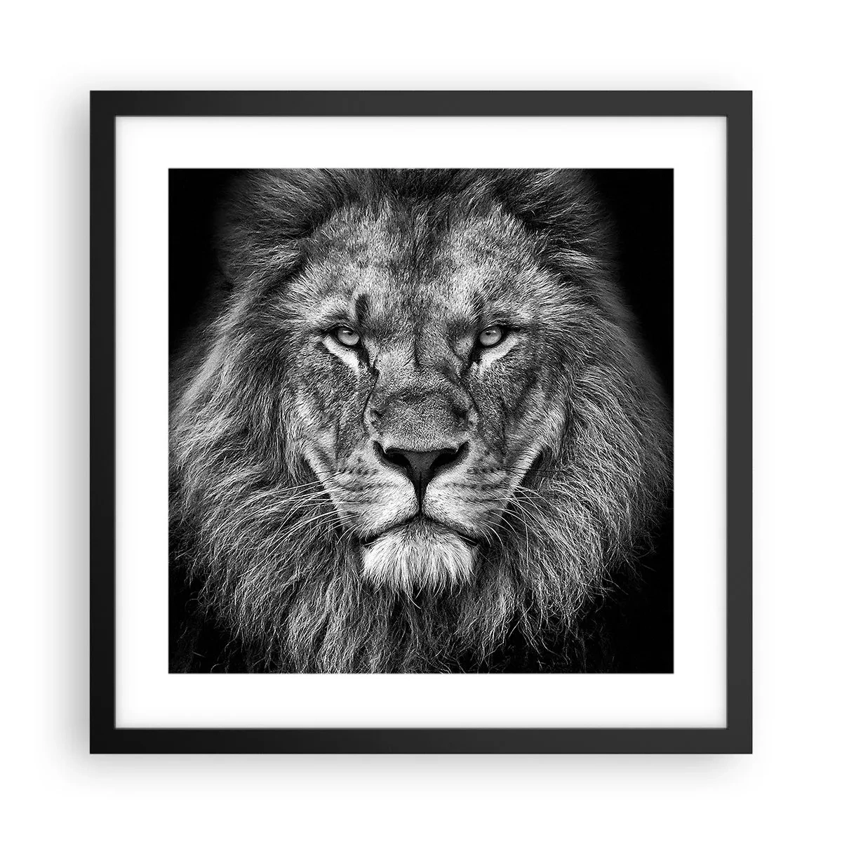 Poster în ramă neagră - În ținuta de încoronare - 40x40 cm